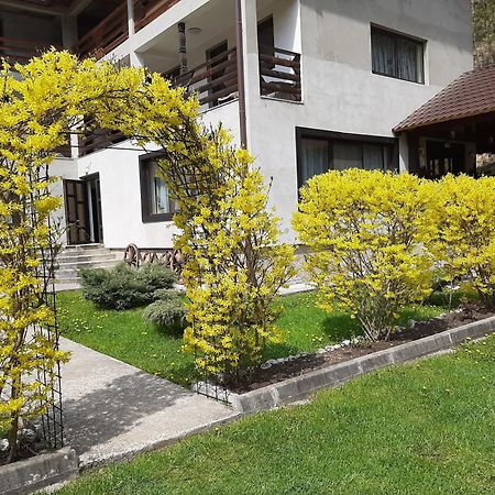 Pensiunea La Rachitele Dış mekan fotoğraf