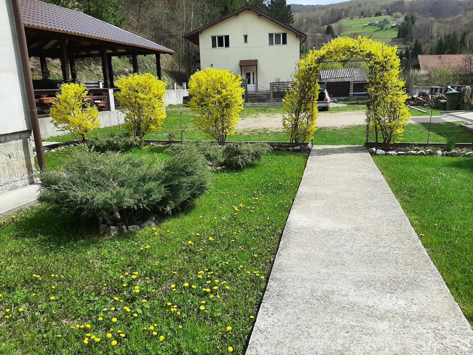 Pensiunea La Rachitele Dış mekan fotoğraf