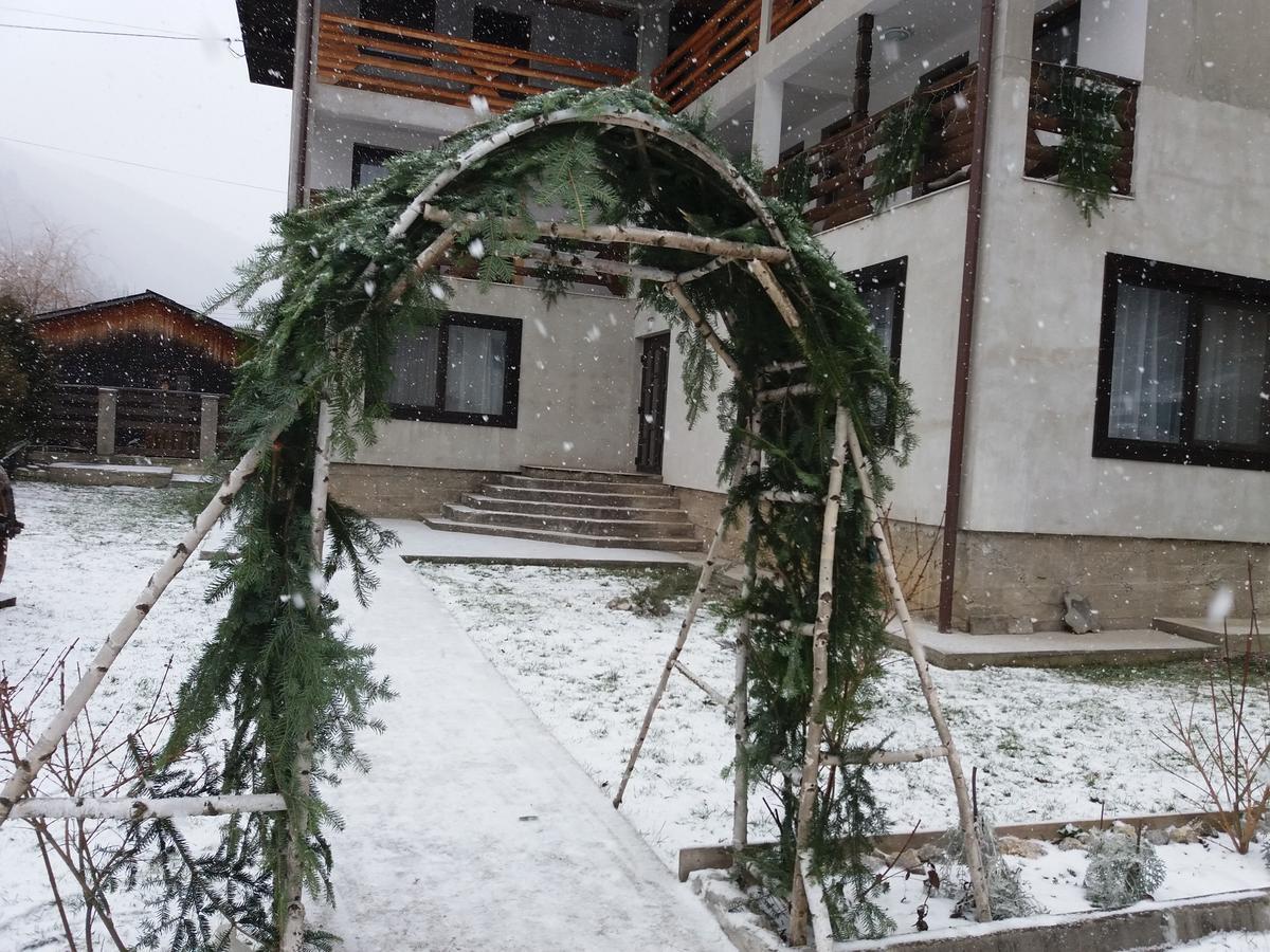 Pensiunea La Rachitele Dış mekan fotoğraf